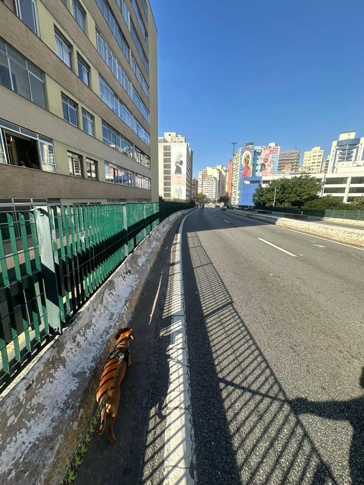 Apartamento - Allianz Parque