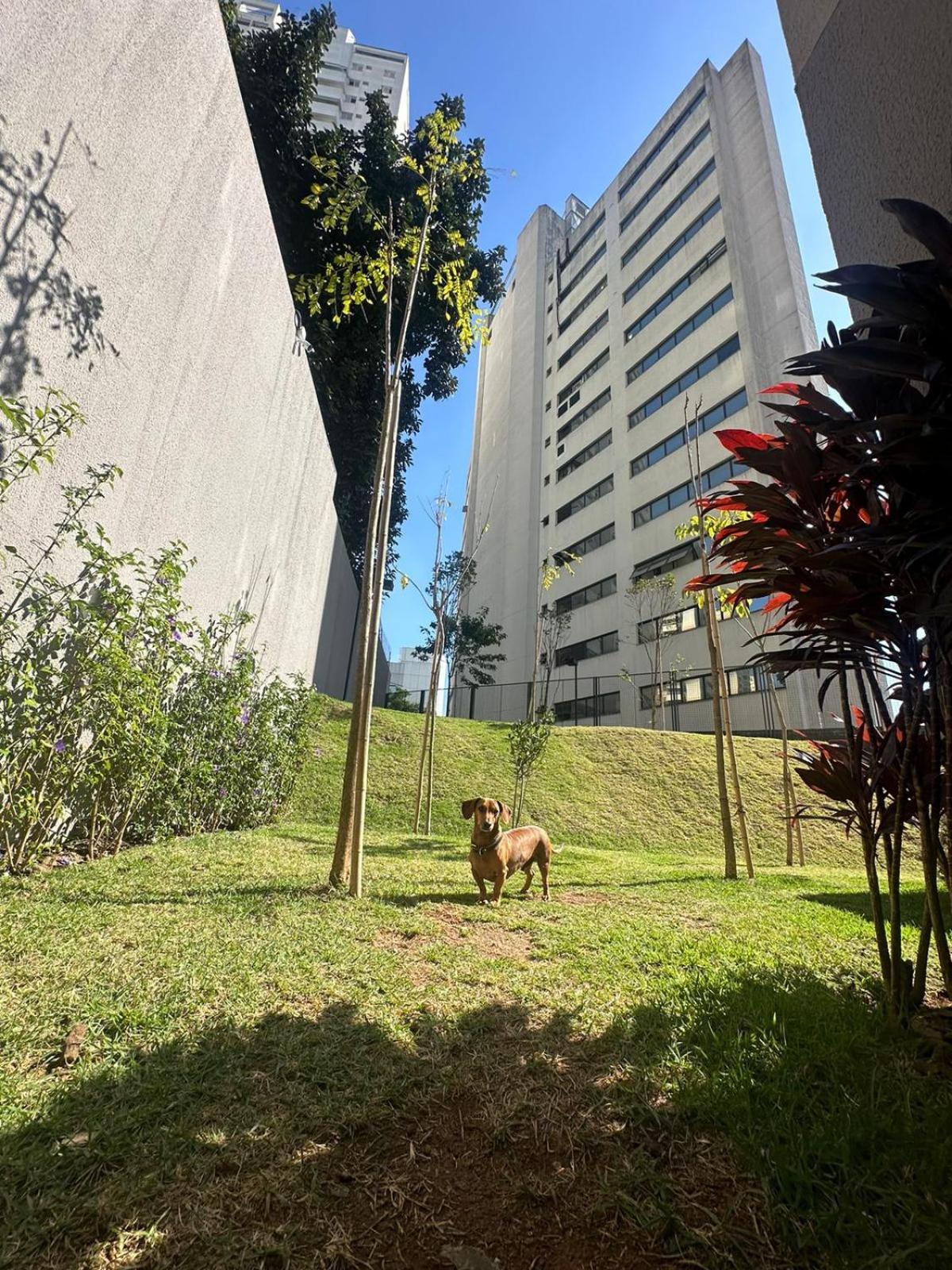 - Allianz Parque Apartamento *
